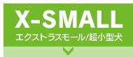 X-SMALL