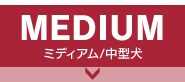 MEDIUM