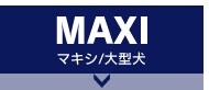 MAXI