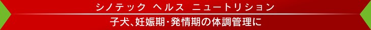 VmebN wX j[gV