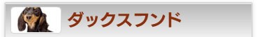 _bNXth