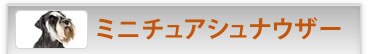 ~j`AViEU[