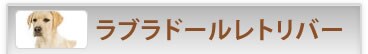 uh[go[