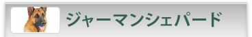W[}VFp[h