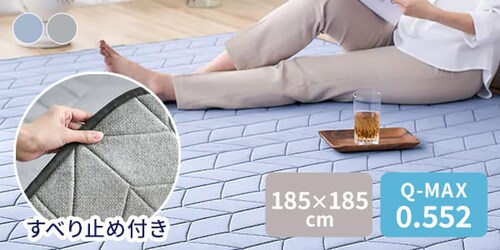 �⊴�L���g���O 185�~185cm