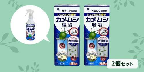 �J�����V�V���b�g�ގ��쏜��