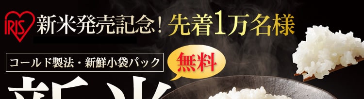 撅1l