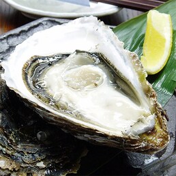 ���y�N������������ �V�[���摜