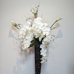 ���Ԃ̐��X���� �V�[���摜