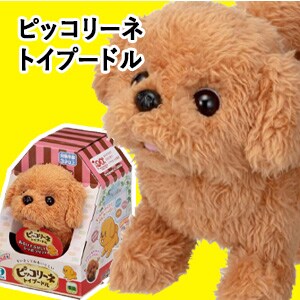 �s�b�R���[�l �g�C�v�[�h��