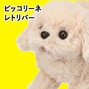 �s�b�R���[�l ���g���o�[