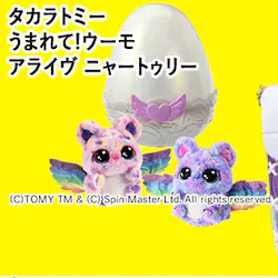 ^Jg~[ ܂āIE[ AC j[gD[