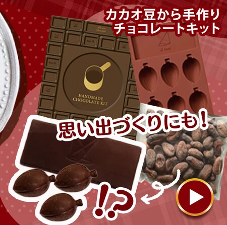 �J�J�I���������`���R���[�g�L�b�g