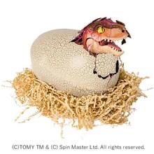 ܂!E[ WVbNE[h T-bNXGbO