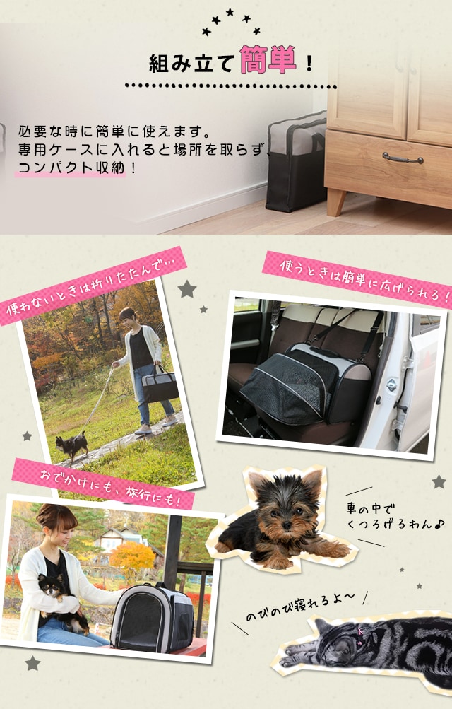 eico様 オーダー専用　キャリーでおでかけ　ブラックタンチワワちゃん スムースコート チワワ 【ブラックタン】 実物大 ぬいぐるみ