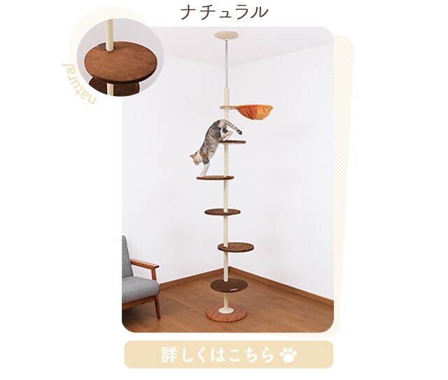 ボンビアルコン キャットポール ビーンズ プラザセレクト アイリスプラザ アイリスオーヤマ公式通販サイト ボンビアルコン キャットポール ビーンズ プラザセレクト アイリスプラザ アイリスオーヤマ公式通販サイト
