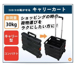 台車 折りたたみ スチール 耐荷重300kg 頑丈 SLD-H001BL 7284105