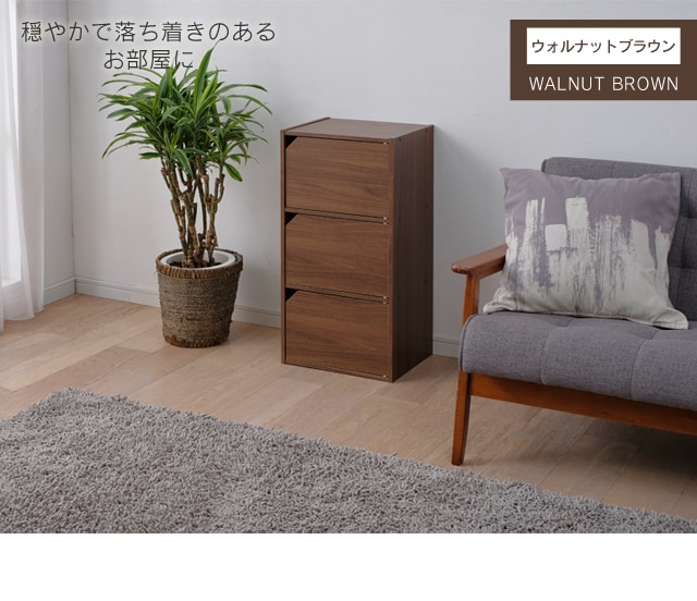 モジュールボックス扉付 MDB-3D ナチュラル K250483 │アイリス