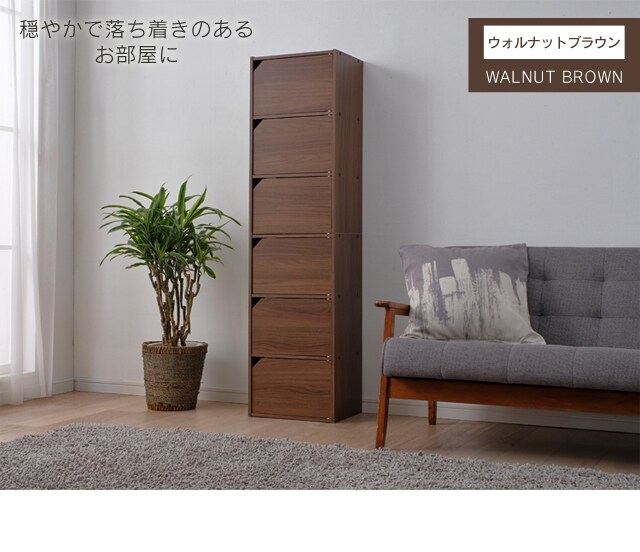 モジュールボックス扉付 MDB-6D オフホワイト K250485 │アイリス