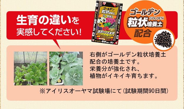 売り切れ必至！ アイリスオーヤマ 培養土 花 野菜の培養土 ゴールデン粒状培養土 配合 25L discoversvg.com