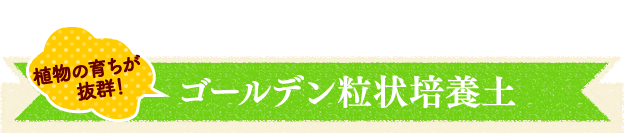 栽培したいものが決まったら土を選ぼう ゴールデン粒状培養土 アイリスプラザ アイリスオーヤマ公式通販サイト 栽培したいものが決まったら土を選ぼう ゴールデン粒状培養土 アイリスプラザ アイリスオーヤマ公式通販サイト