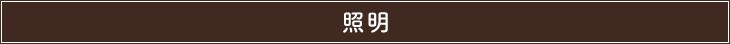 Ɩ