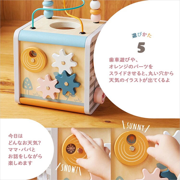 DADWAY アクティビティボックス TYPR44030 【プラザセレクト】