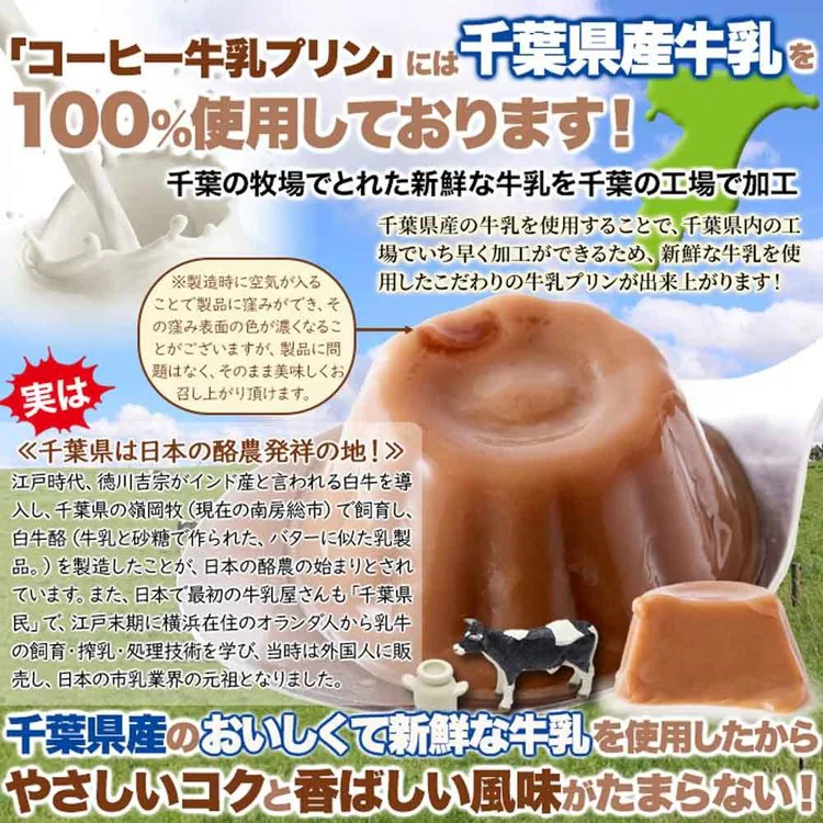 コーヒー牛乳珈琲一口サイズ牛乳プリン国内製造夏子供洋生菓子常温大容量【お徳用】ひとくちコーヒー牛乳プリン40個天然生活
