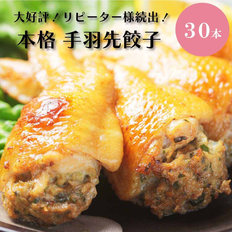 【30本】Tokka 手羽先餃子 【時間指定不可】【代引不可】【同梱不可】【プラザセレクト】