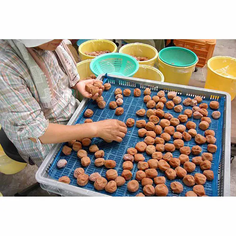 【2個】Tokka 梅干し 400g 【時間指定不可】【代引不可】【同梱不可】【プラザセレクト】