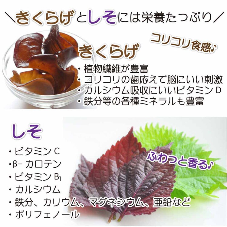 【4袋】Tokka ご飯のお供 しそきくらげ 90g 【時間指定不可】【代引不可】【同梱不可】【プラザセレクト】