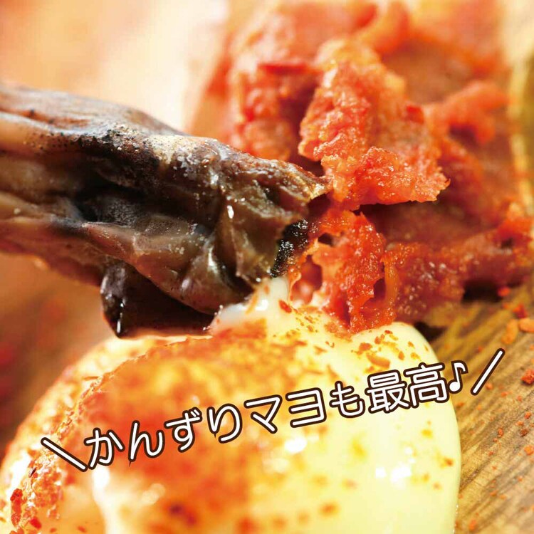 【3個】Tokka 丸干しいか おつまみ 珍味 85g 【時間指定不可】【代引不可】【同梱不可】【プラザセレクト】