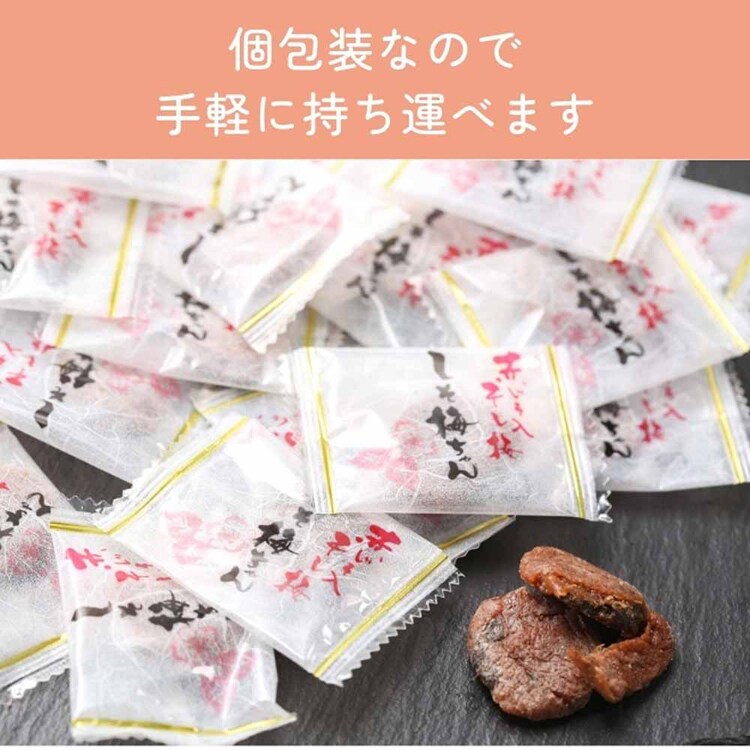 【6個】Tokka 種なし しそ梅ちゃん 90g 【時間指定不可】【代引不可】【同梱不可】【プラザセレクト】