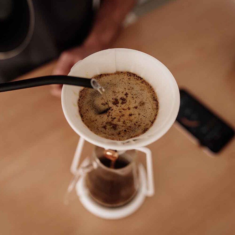 GOAT STORY スマートコーヒードリッパー GINA GS-4065BL GS-4066W 【プラザセレクト】