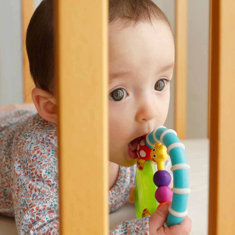 DADWAY カミカミみつばち/てんとうむし/あおむし TYSA80779 TYSA80777 TYSA80746 TYSA80678 【プラザセレクト】