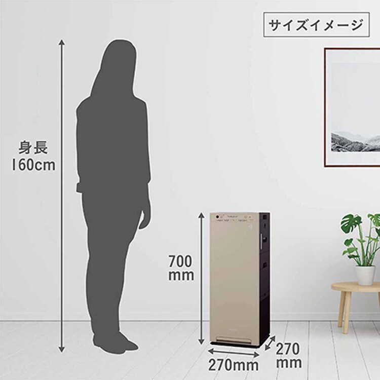 ダイキン 加湿ストリーマ空気清浄機 MCK556A 【プラザセレクト】