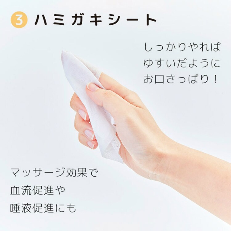 【4個セット】ヤマトエスロン 無水ハミガキセット 【プラザセレクト】