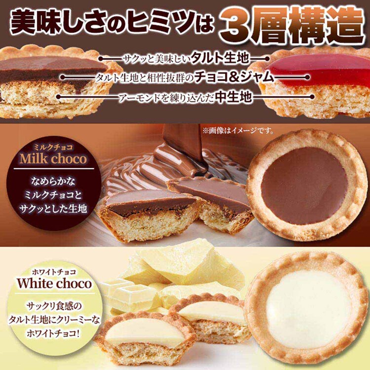 プチタルト アソート 5種20個 SM00011407 【プラザセレクト】