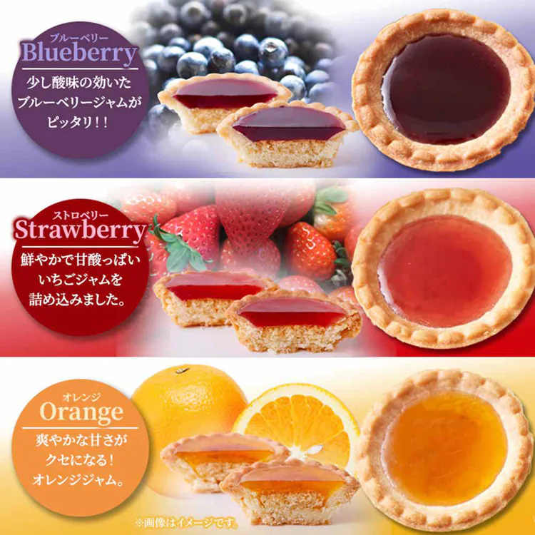 プチタルト アソート 5種20個 SM00011407 【プラザセレクト】