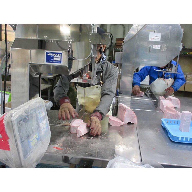 【倉庫登録】神奈川県漁連三崎港 まぐろ3点セット 【時間指定不可】【代引不可】【同梱不可】【プラザセレクト】