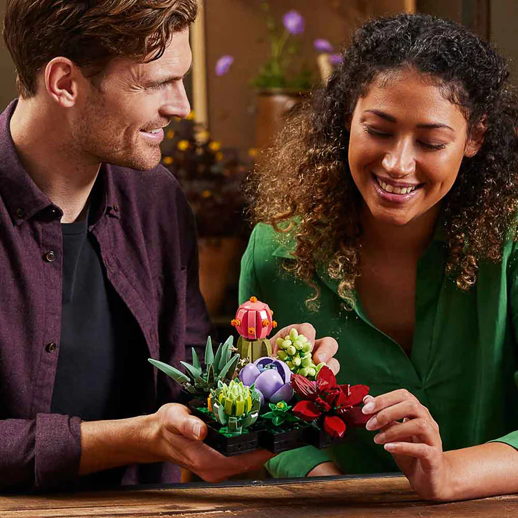 BOTANICALS 多肉植物 10309 【プラザセレクト】