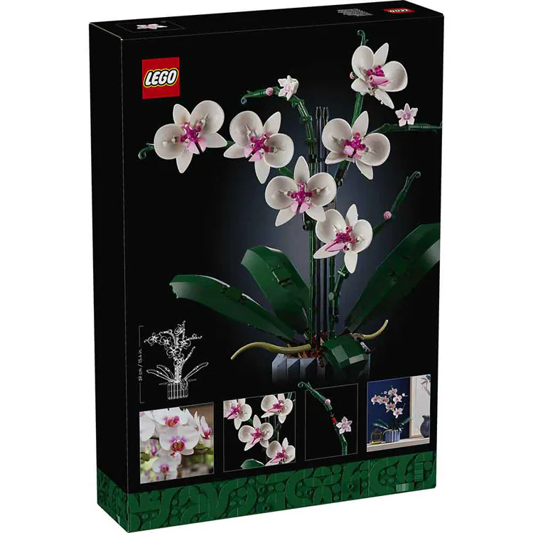 BOTANICALS 胡蝶蘭 10311 【プラザセレクト】