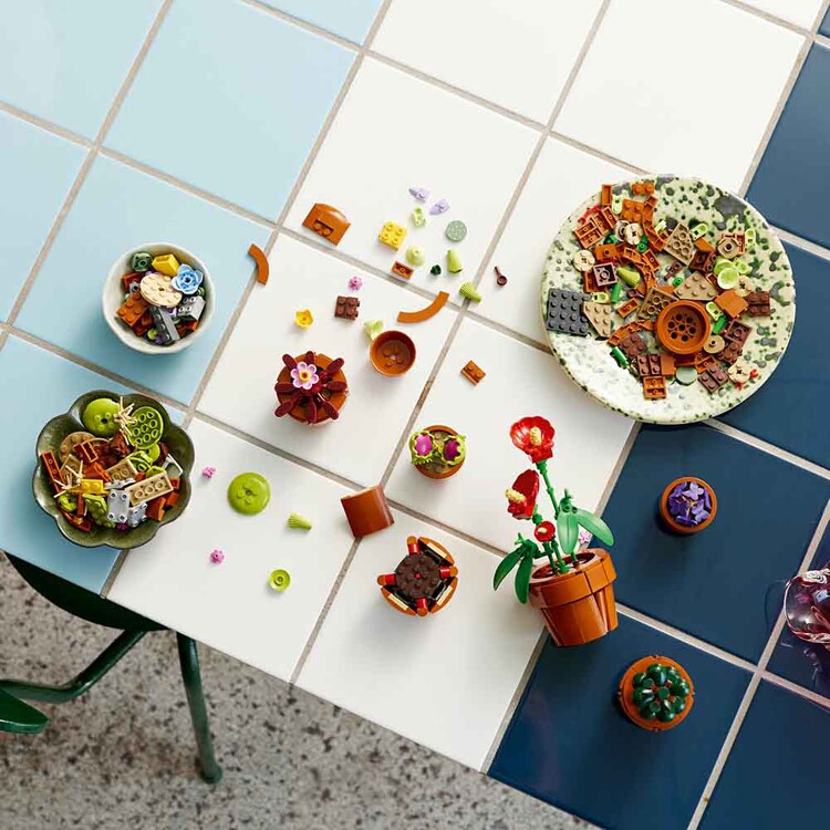 BOTANICALS ミニ観葉植物セット 10329 【プラザセレクト】