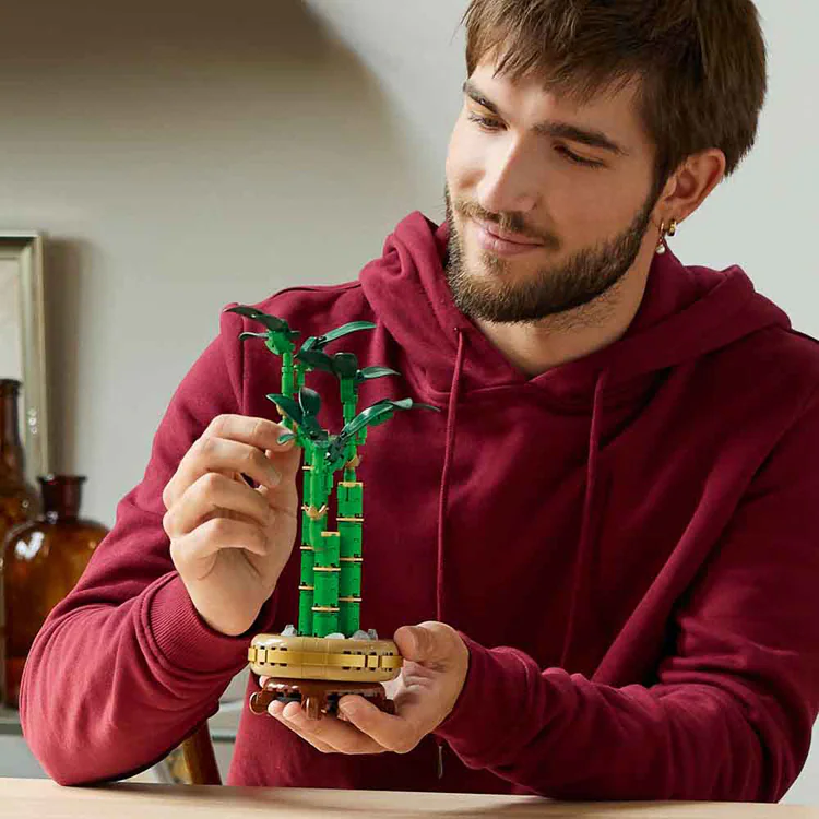 BOTANICALS ラッキーバンブー 10344 【プラザセレクト】