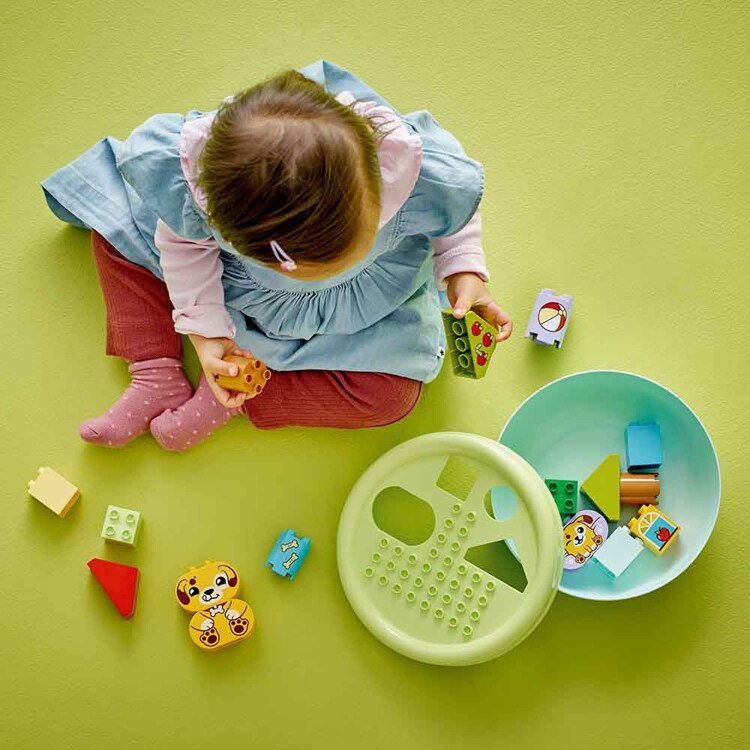 DUPLO はじめてのデュプロ ワンちゃんのおうちと型はめパズル 10441 【プラザセレクト】