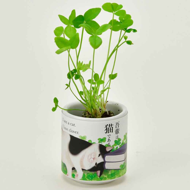 お芽でたおちょこ 吾輩猫 GD-102801 GD-102802 GD-102803 GD-102804 【プラザセレクト】