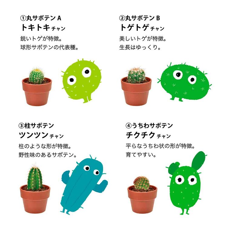 【4個セット】育てるカプセル サボテン 【プラザセレクト】