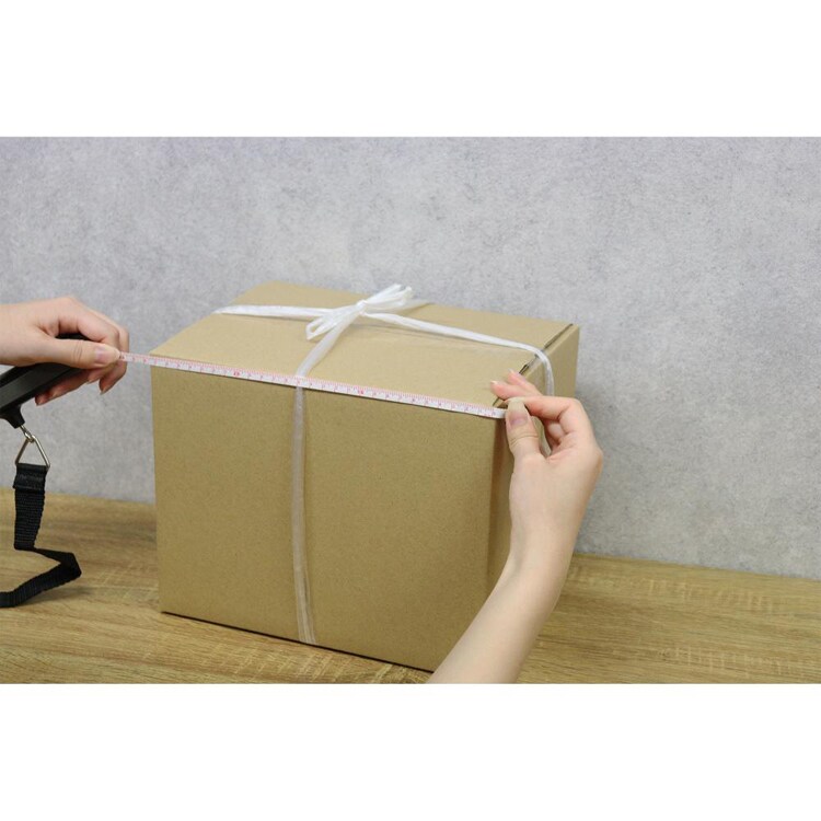 ドリテック 荷物はかり ラゲッジスケール バックライト付き ブラック LS-108BK 【プラザセレクト】