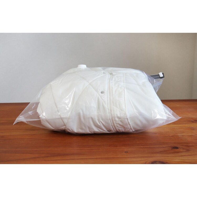 ドリテック 衣類圧縮袋 2枚 ZVS201XXBG 【プラザセレクト】