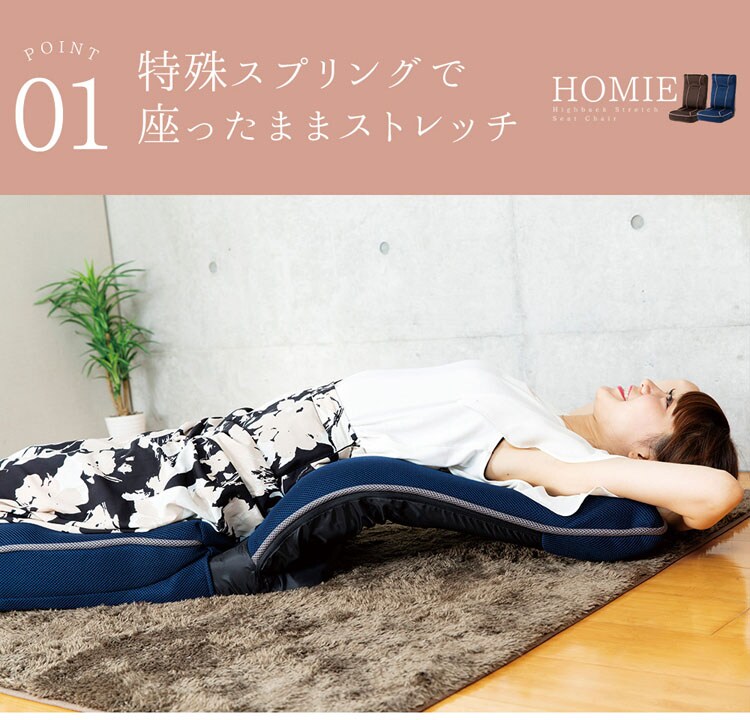 背筋が伸ばせるストレッチ座椅子/ホーミー【homie】 ハイタイプ CG-391-IP 全2色